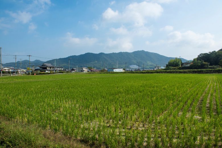 加東市の田園風景