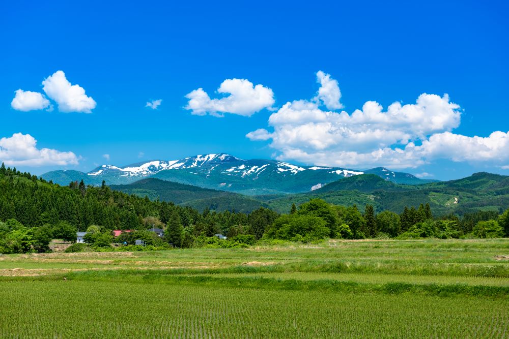 栗駒山
