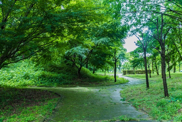 日本のへそ公園