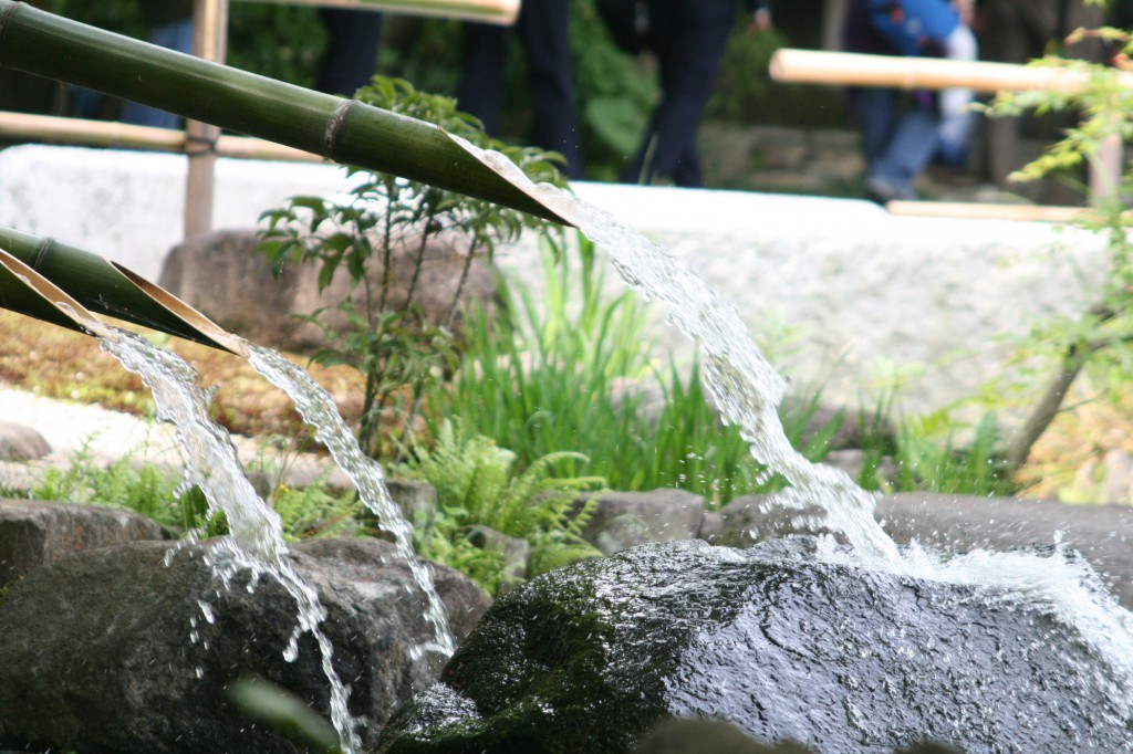 【2014年】花よりマグロ!?神奈川は活気でいっぱい!