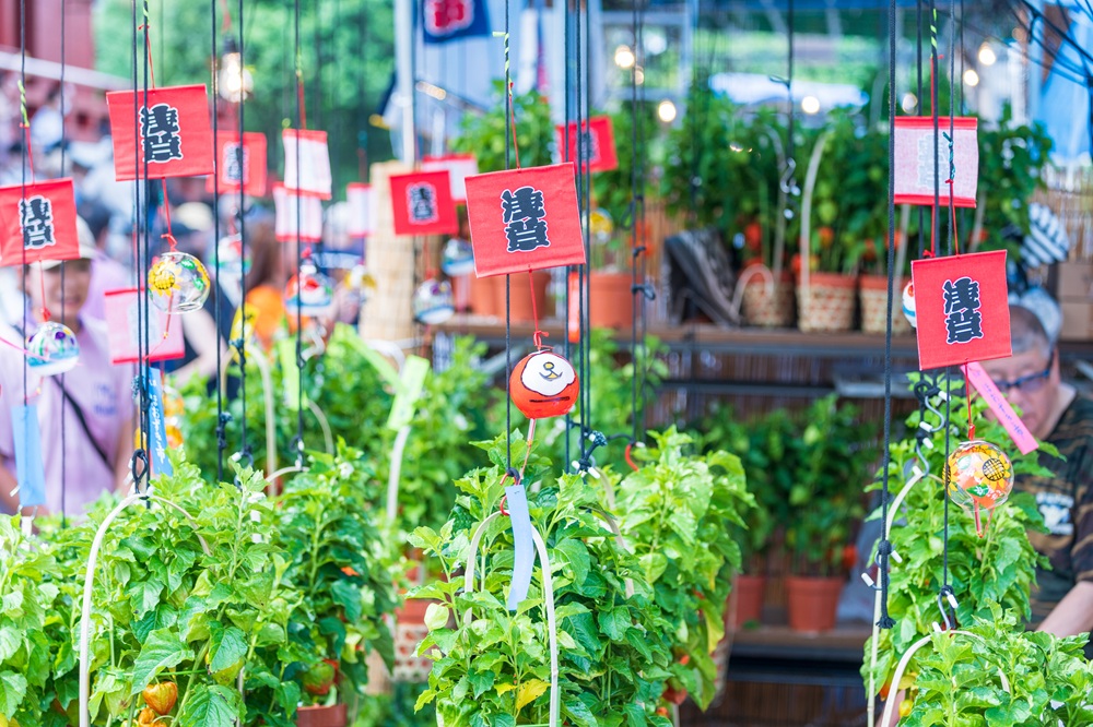 台東区・浅草寺「四万六千日 ほおずき市」