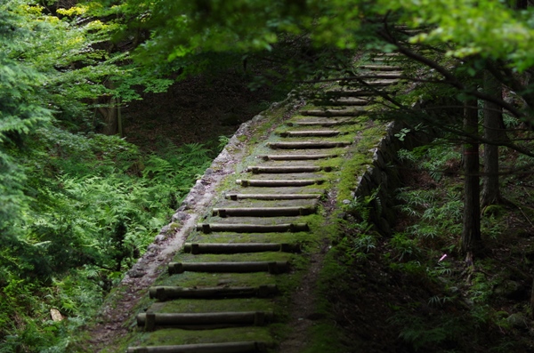 波賀城史蹟公園遊歩道