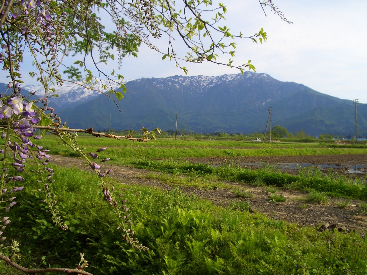 八海山