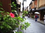 夏の祇園町