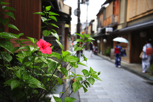 夏の祇園町