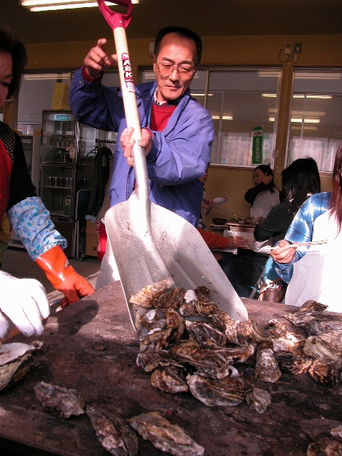 松島の牡蠣