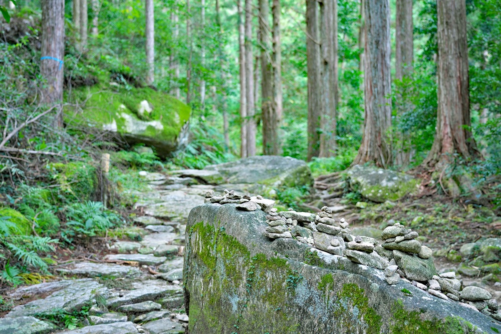 熊野古道 馬越峠