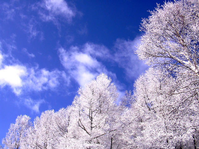 長野　樹氷