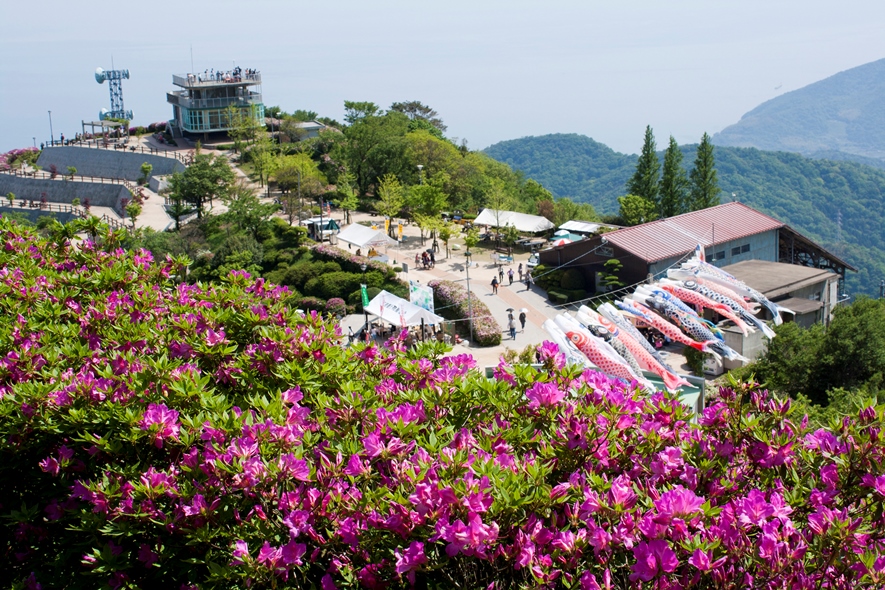 大平山つつじまつり