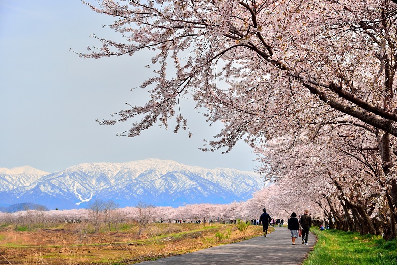 新潟へ観光バス旅行！おすすめの休憩スポット「加治川」