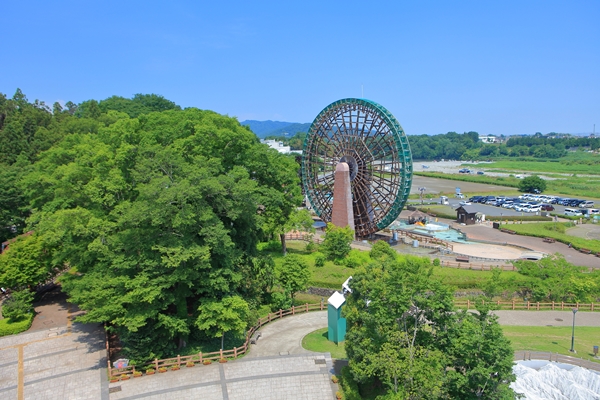 県立川の博物館