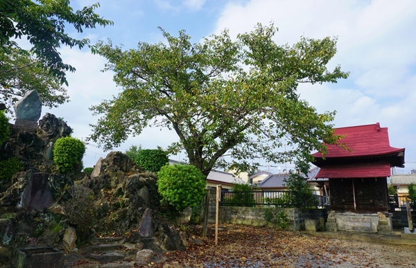 杉戸宿の浅間神社