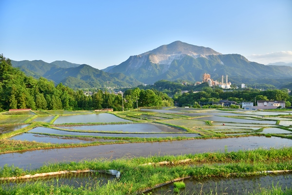 武甲山と寺坂棚田