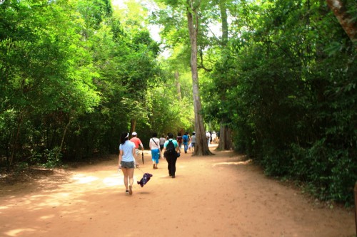 ta_prohm2