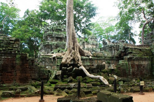 ta_prohm6