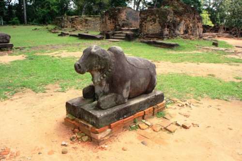 nandi