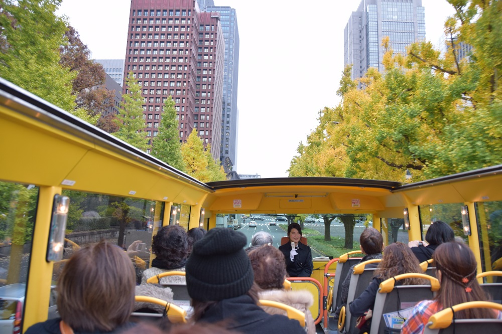 オーソラミーオ！はとバスイチョウ並木ツアー