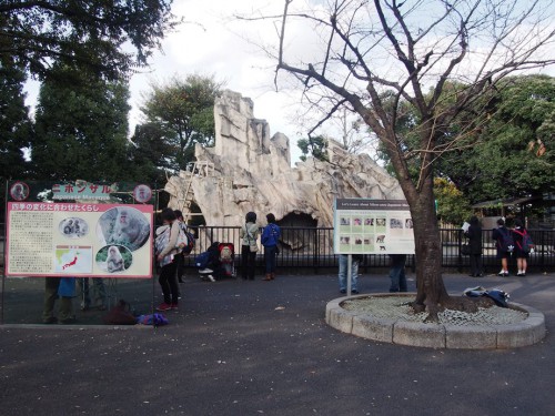 ueno_zoo10