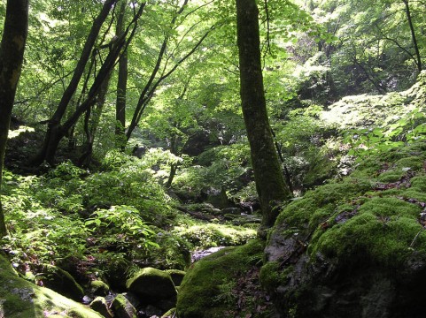 高尾山