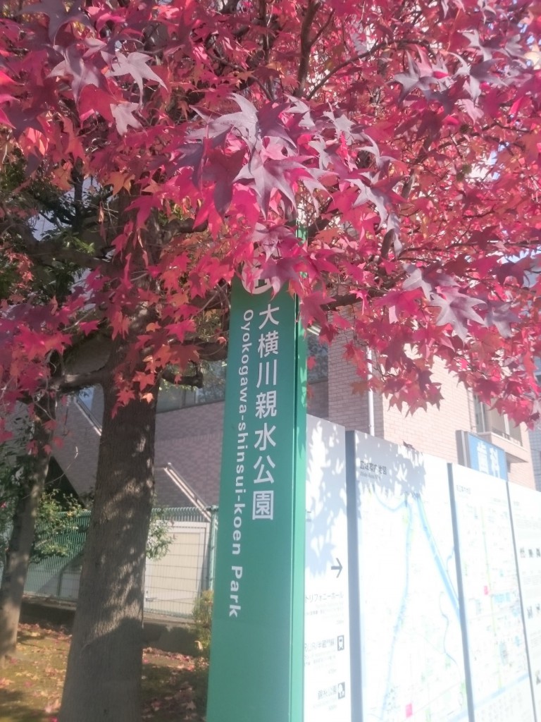 oyokogawa-shinsui-park