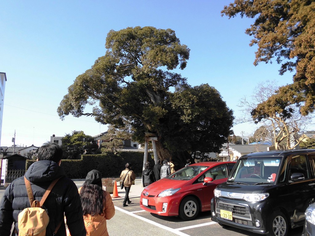 鹿島神宮駐車場