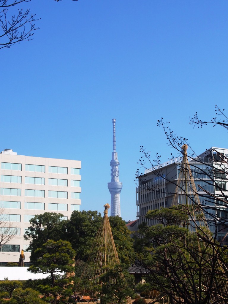 旧安田庭園