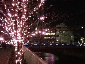 目黒川の桜色LEDライトアップ