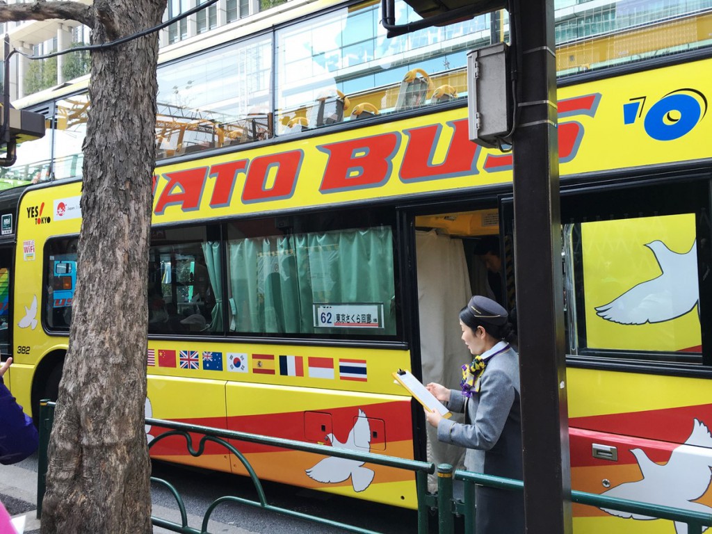 まだ間に合う！「東京さくら回廊」