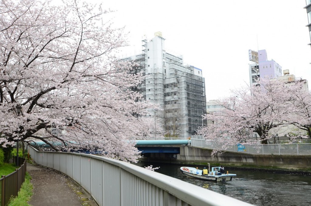 大横川を船が航行