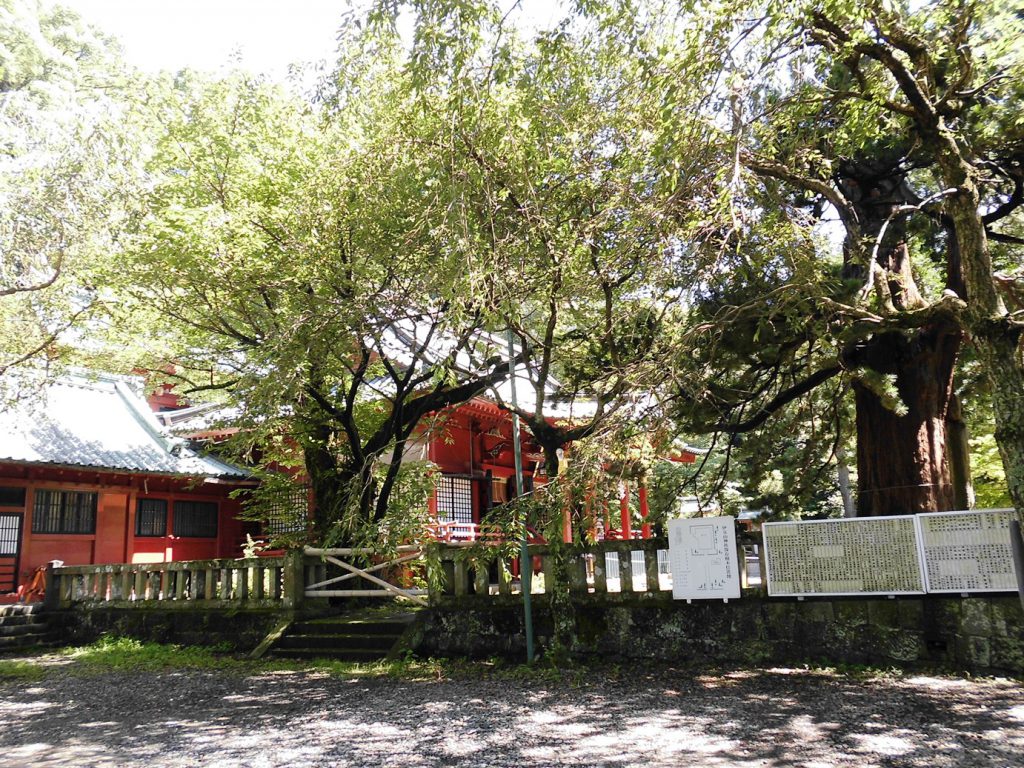 伊豆山神社・境内