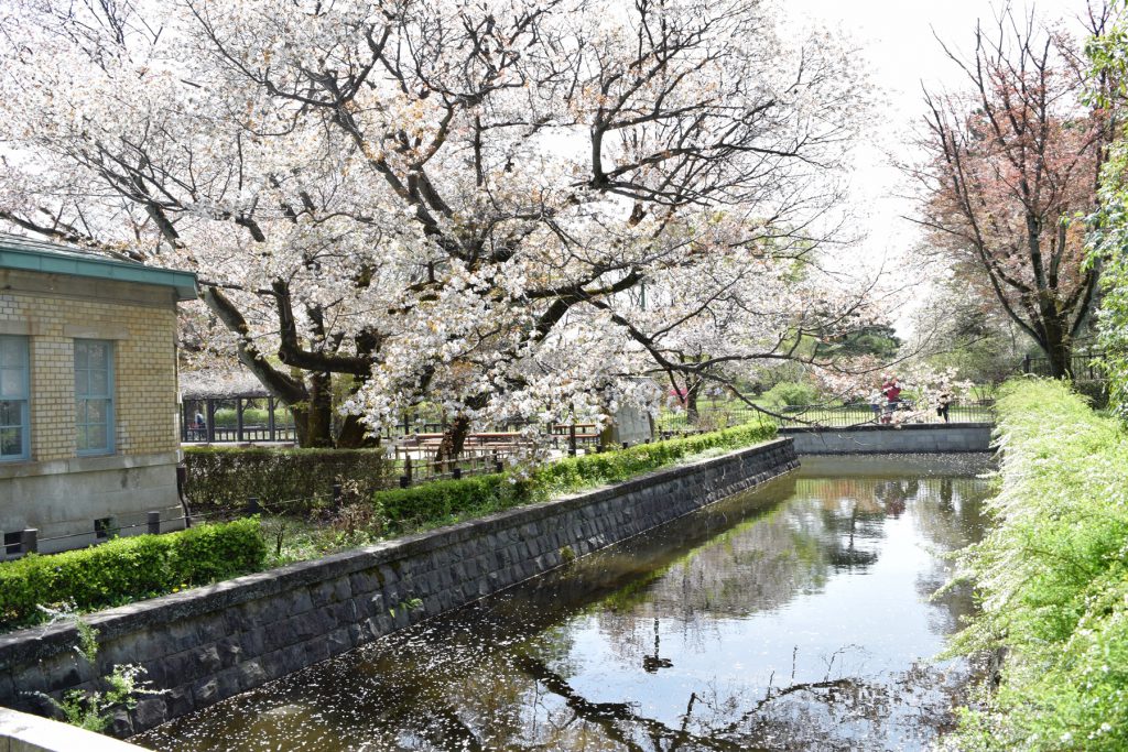 東ゾーンへ渡る橋