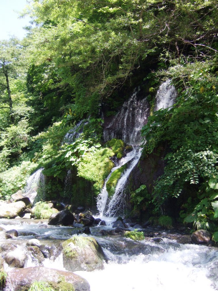 さくらんぼ狩り、清里なら7月末までやってます！【後編】