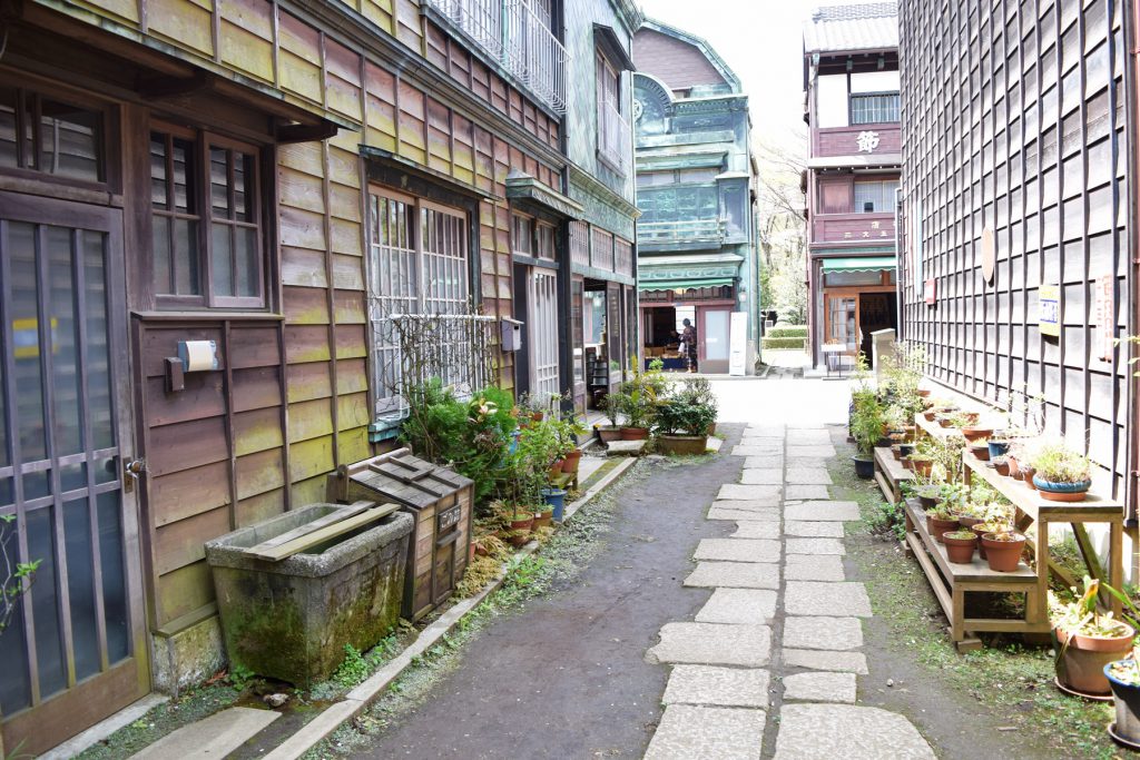 植木鉢が並ぶ路地裏の光景