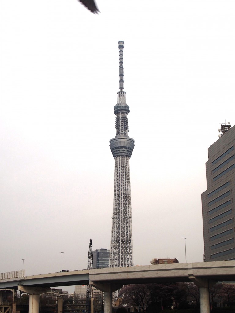 対岸に見えるスカイツリー