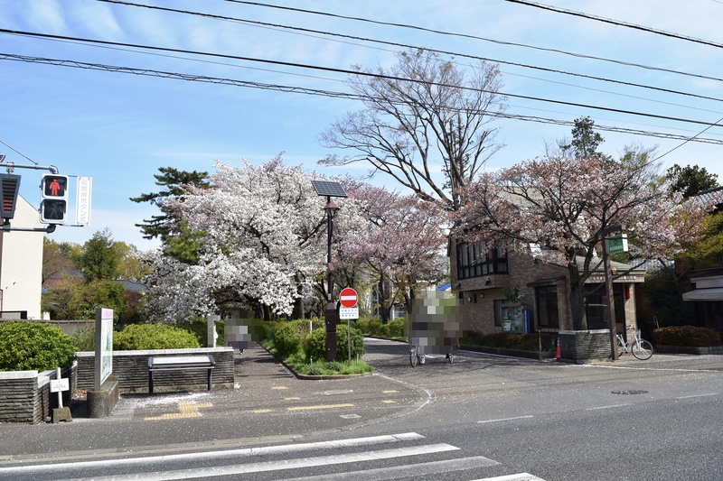 たてもの園への行き方