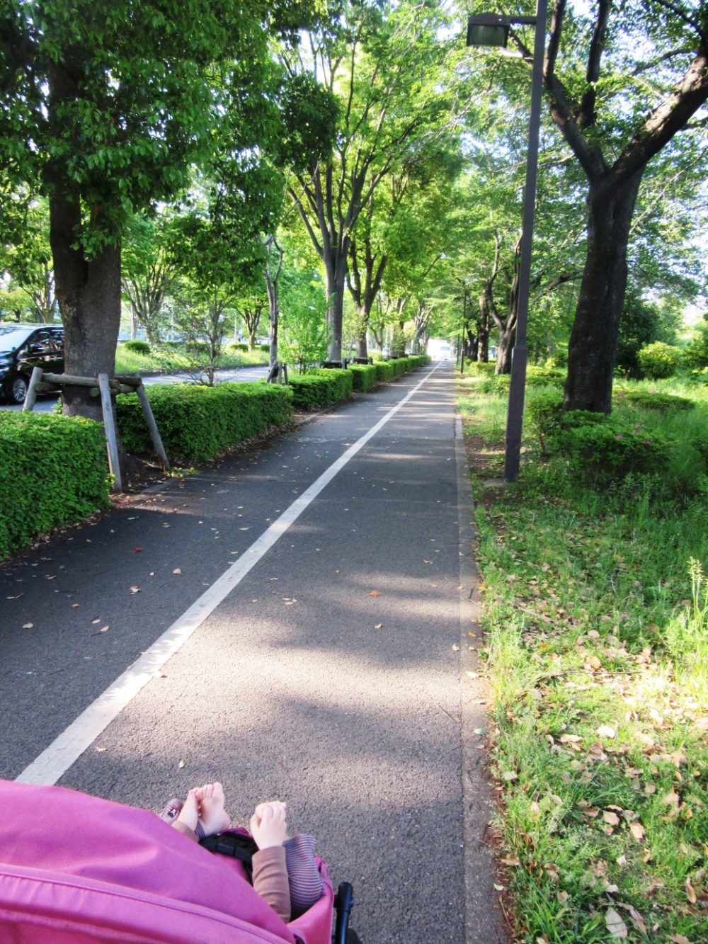 バス停に向かう散歩道