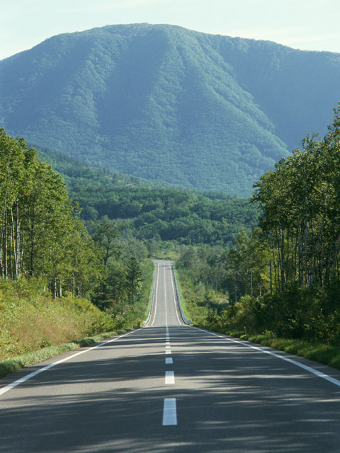 遠くの山をみるのも車酔い対策になる