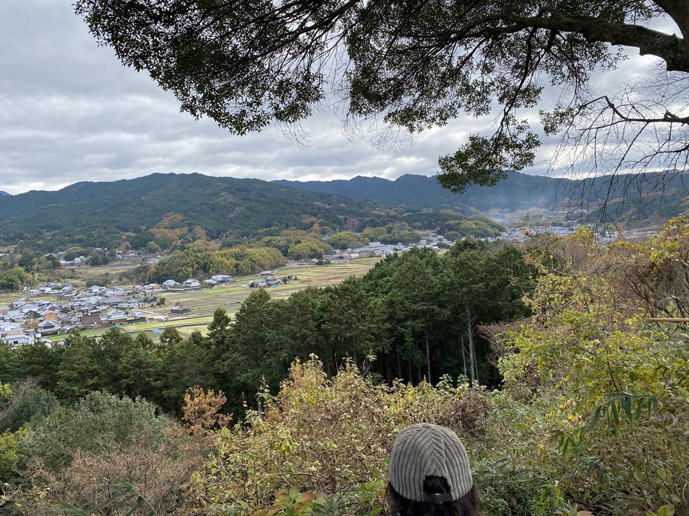 甘樫丘からの眺め