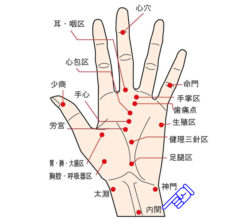 内関のツボ