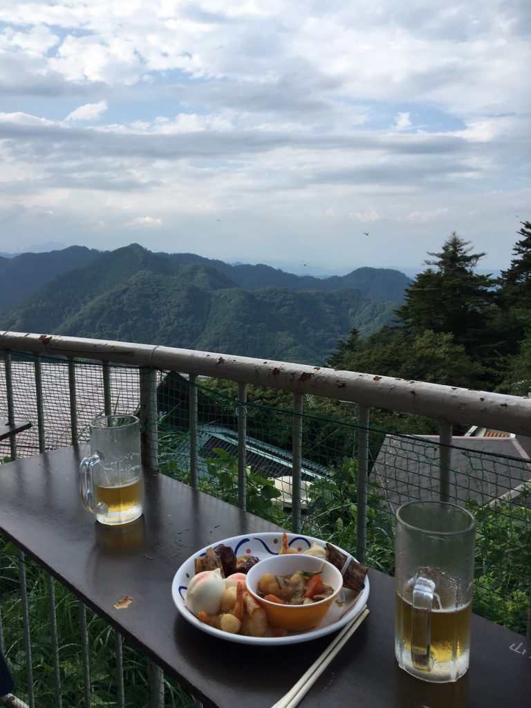 目の前に広がる山々が涼し気