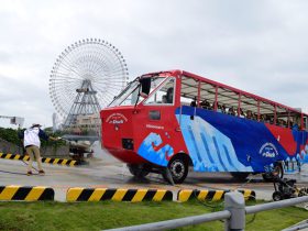 戻ってきたスカイダック