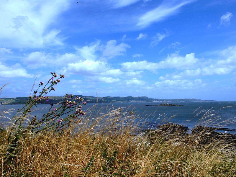 島の西側に広がる草原