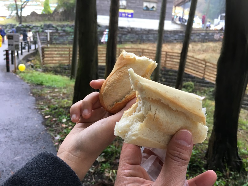 焼き立てのバケットとチーズをつまみに