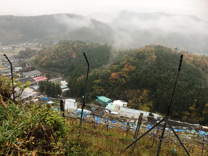 ココファーム山頂からの眺め