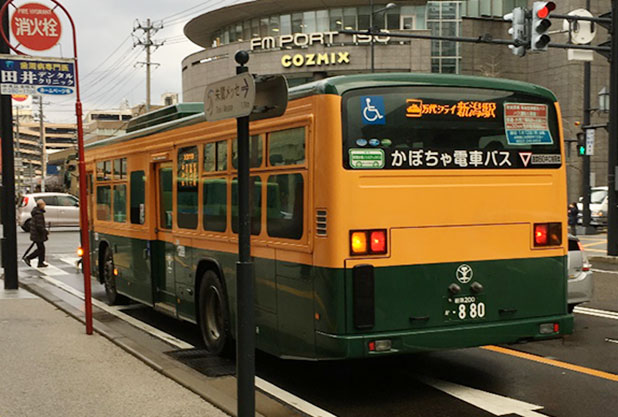 かぼちゃ電車バス