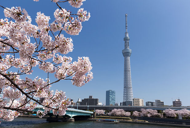 東京観光スカイツリー