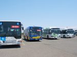 申し込みが殺到する運転体験イベントも目玉