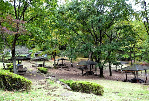 県立七沢森林公園