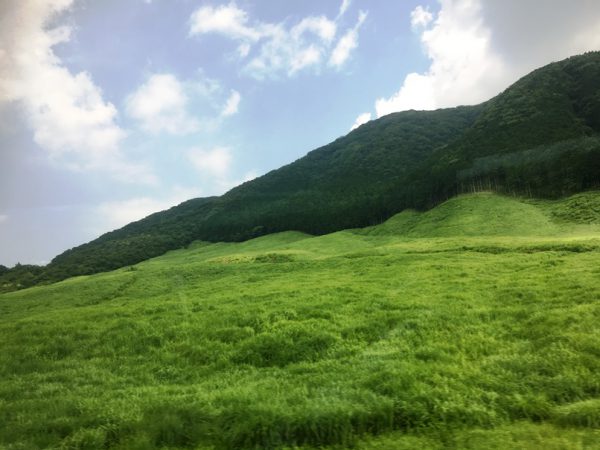 夏の箱根は緑が目にまぶしい