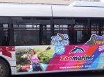 車両側面の部分的ラッピングバス例（２）：水族館兼テーマパークの宣伝